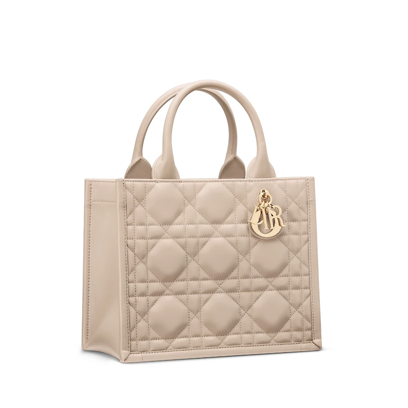 Small Dior Book Tote