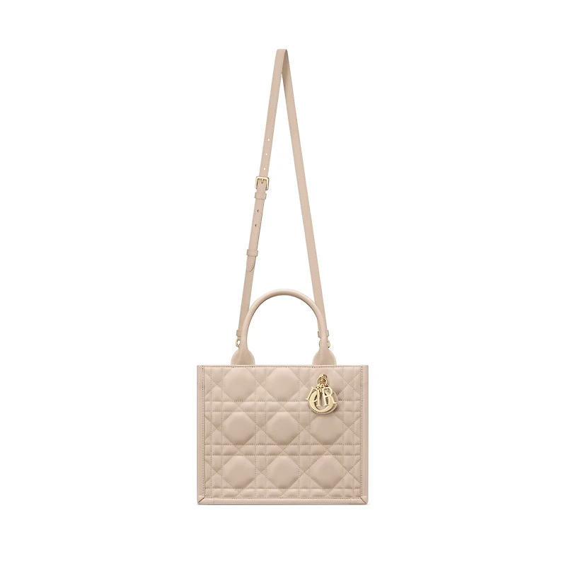 Small Dior Book Tote