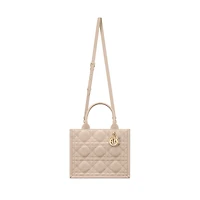 Small Dior Book Tote
