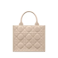 Small Dior Book Tote