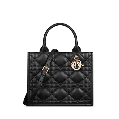 Small Dior Book Tote