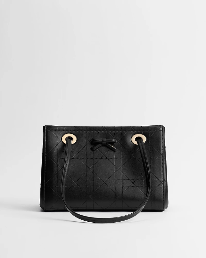 Small Dior Promenade Shopping Bag