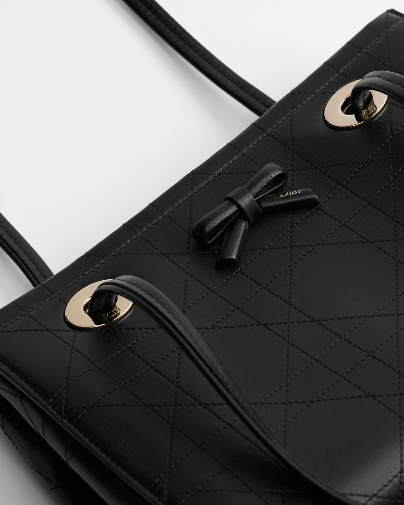 Small Dior Promenade Shopping Bag