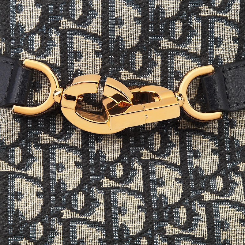 Medium C'est Dior Bag