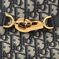 Medium C'est Dior Bag