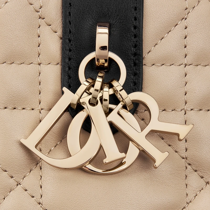Small Dior Toujours Bag