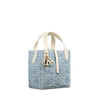 Small Dior Toujours Vertical Tote Bag
