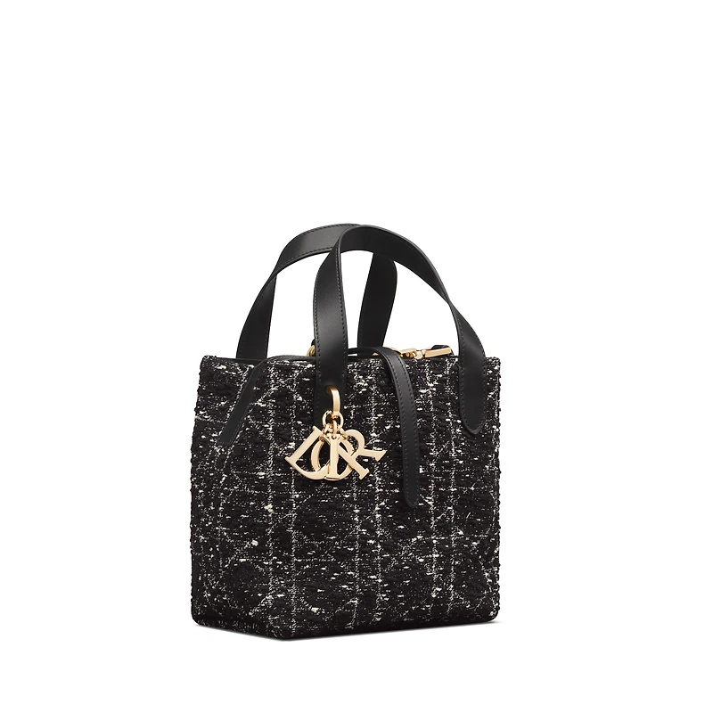 Small Dior Toujours Vertical Tote Bag