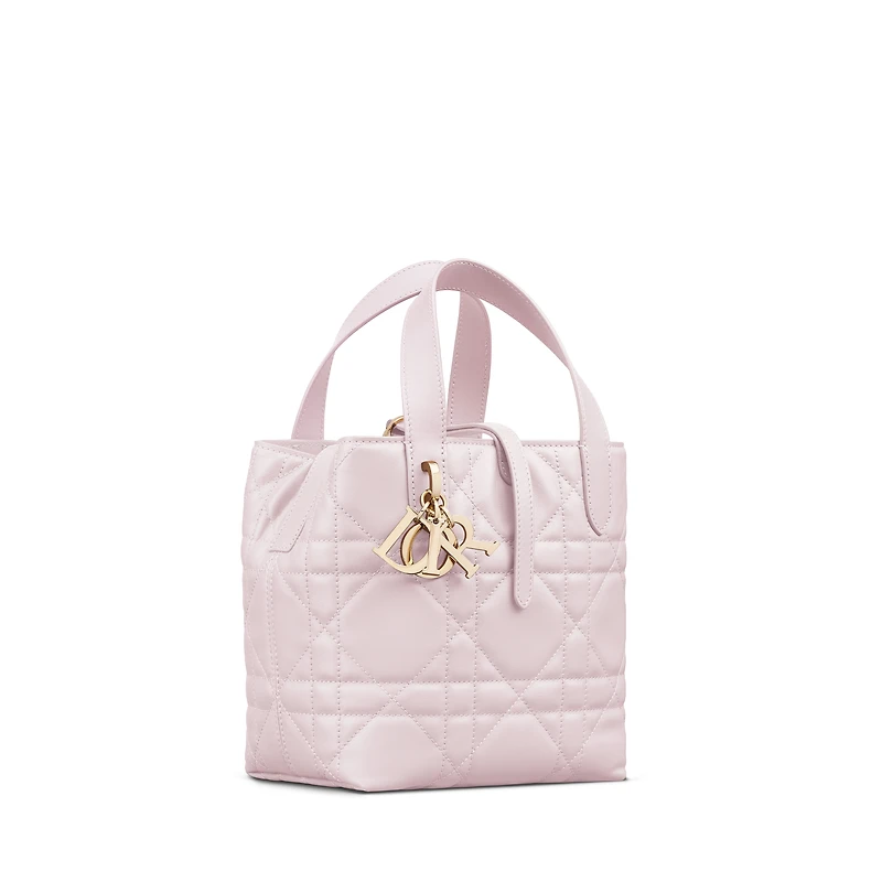 Small Dior Toujours Vertical Tote Bag