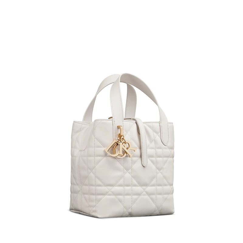 Small Dior Toujours Vertical Tote Bag