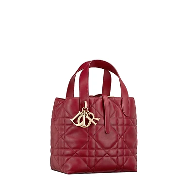 Small Dior Toujours Vertical Tote Bag