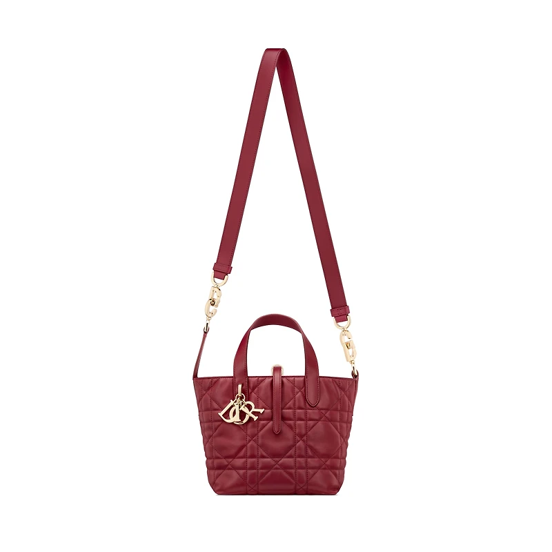 Dior Toujours Vertical Tote Bag