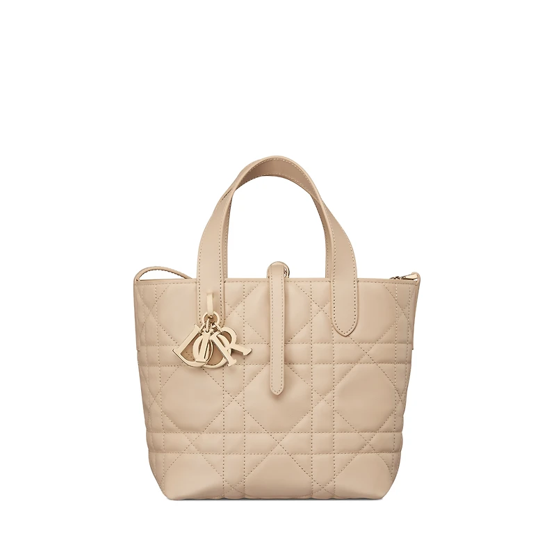 Small Dior Toujours Vertical Tote Bag