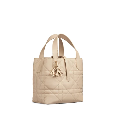 Small Dior Toujours Vertical Tote Bag