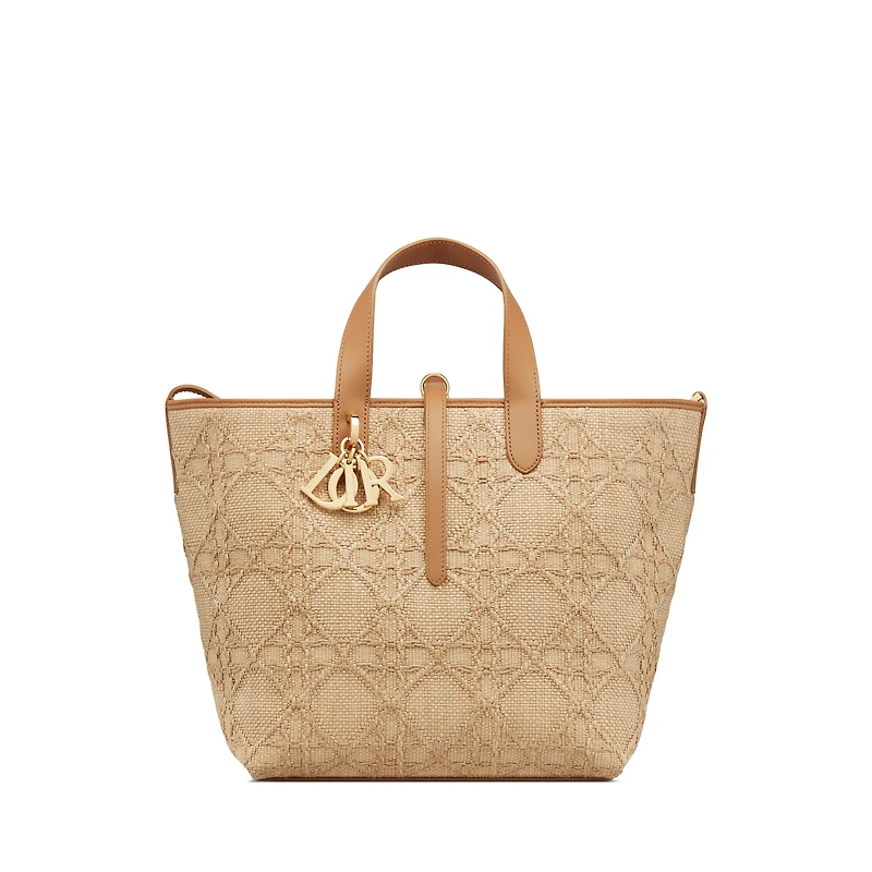 Medium Dior Toujours Vertical Tote Bag