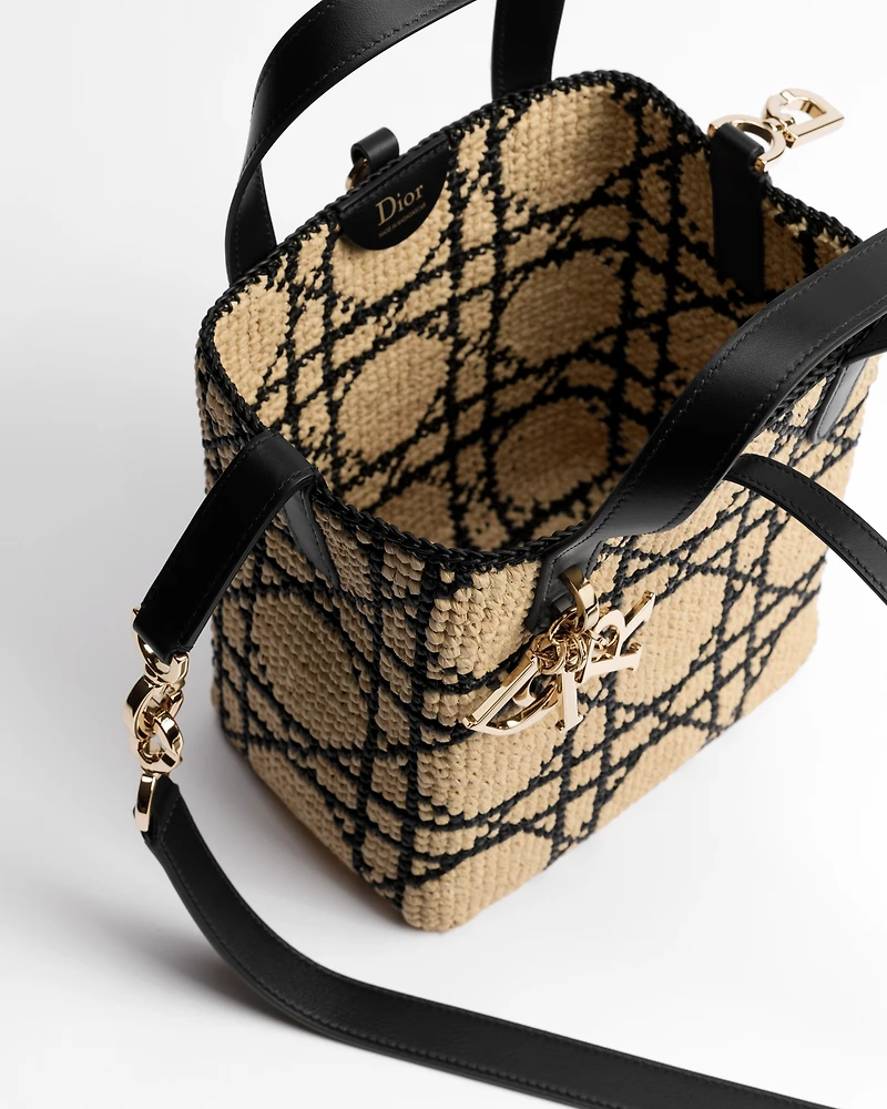Small Dior Toujours Vertical Tote Bag