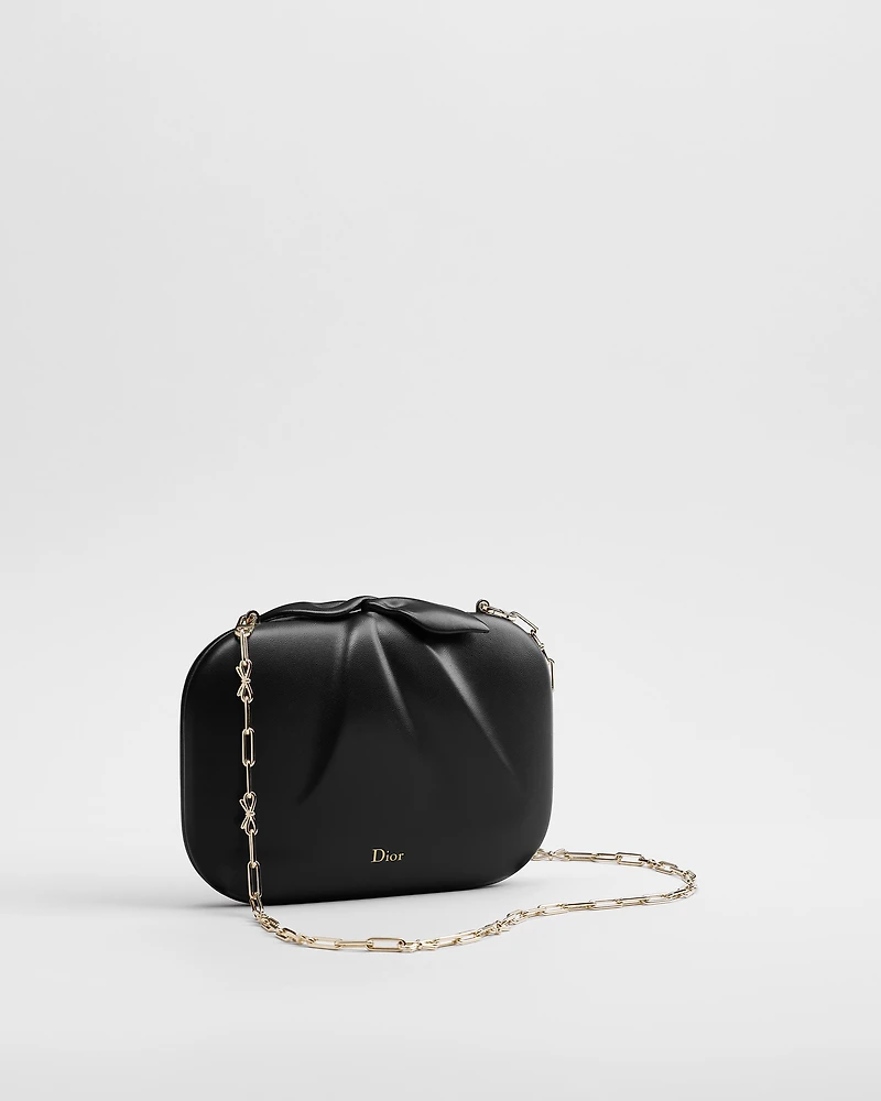 Dior Petit Dîner Bag