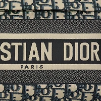 DiorTravel Backpack
