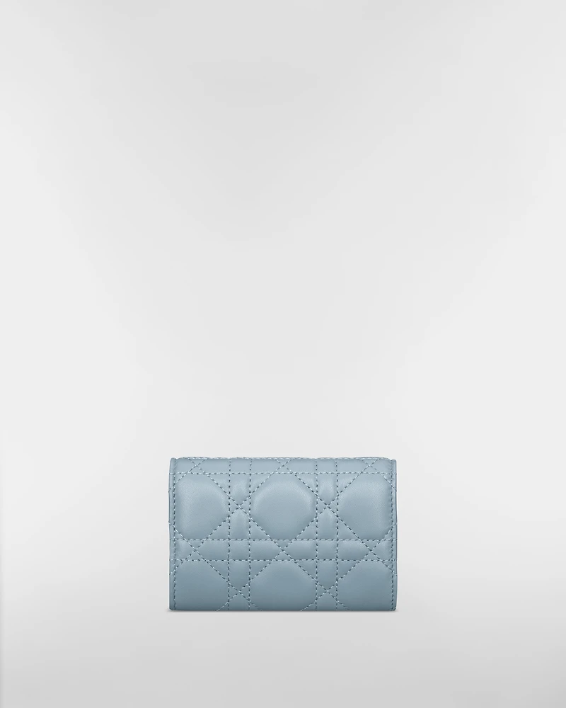 My Dior Glycine Wallet