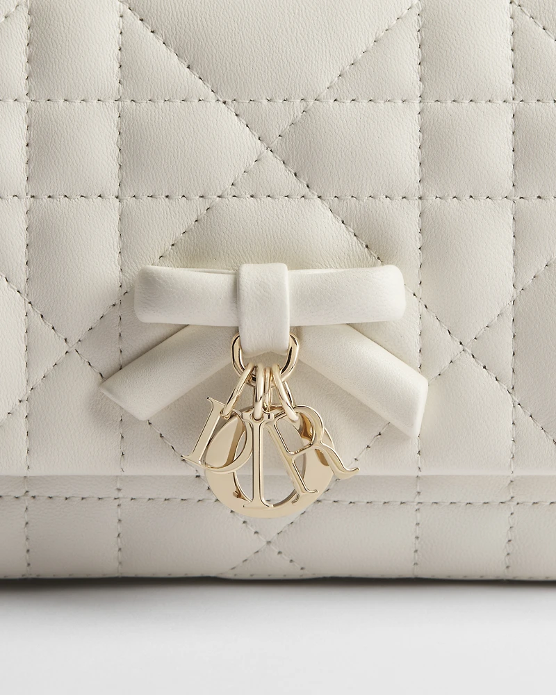 My Tender Dior Top Handle Mini Bag