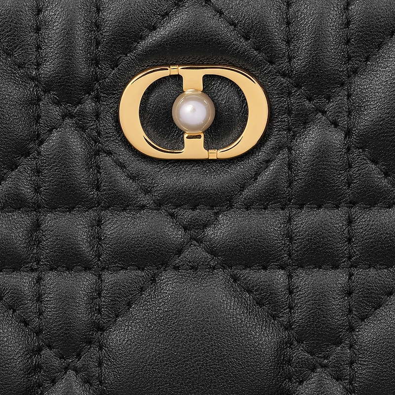 Dior Jolie Scarlet Wallet