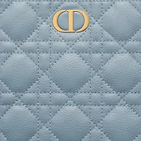 Medium Dior Caro Daily Pouch