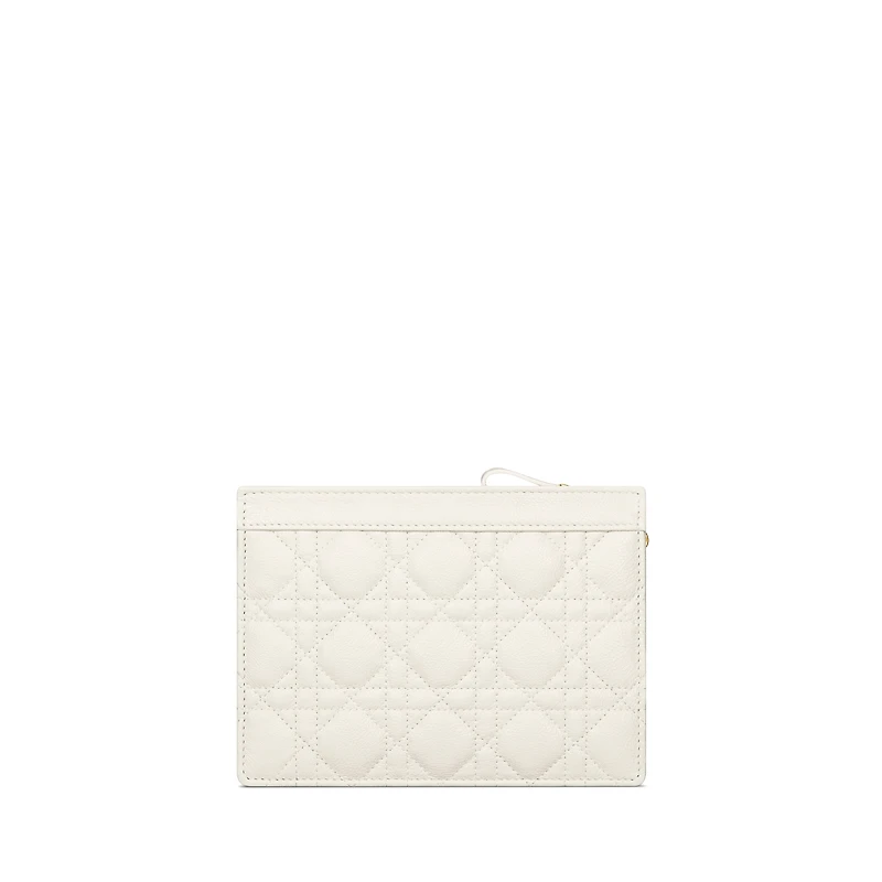 Dior Caro Every Dior Pouch