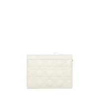 Dior Caro Every Dior Pouch