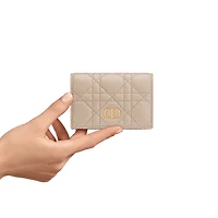 Dior Caro Glycine Wallet