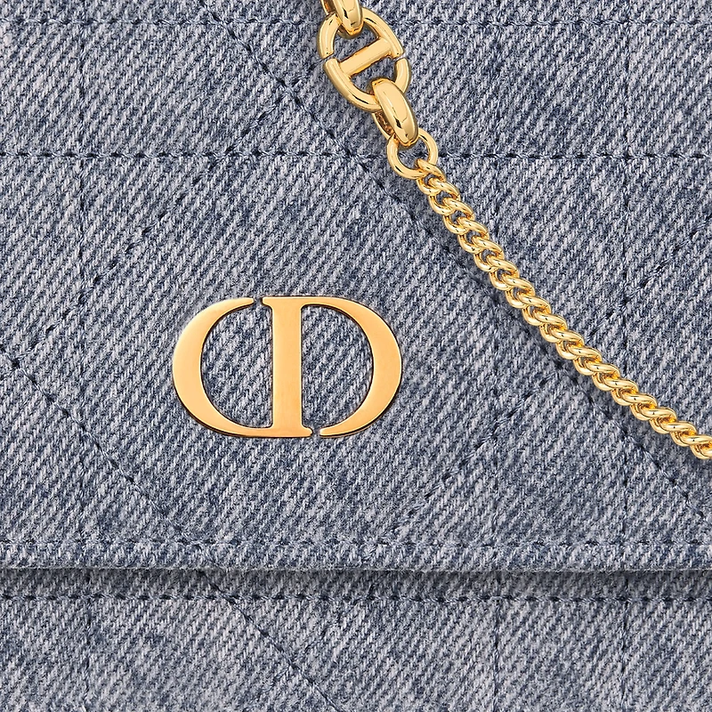 Dior Caro Pouch with Chain