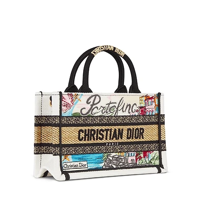 Dior Souvenir Mini Dior Book Tote