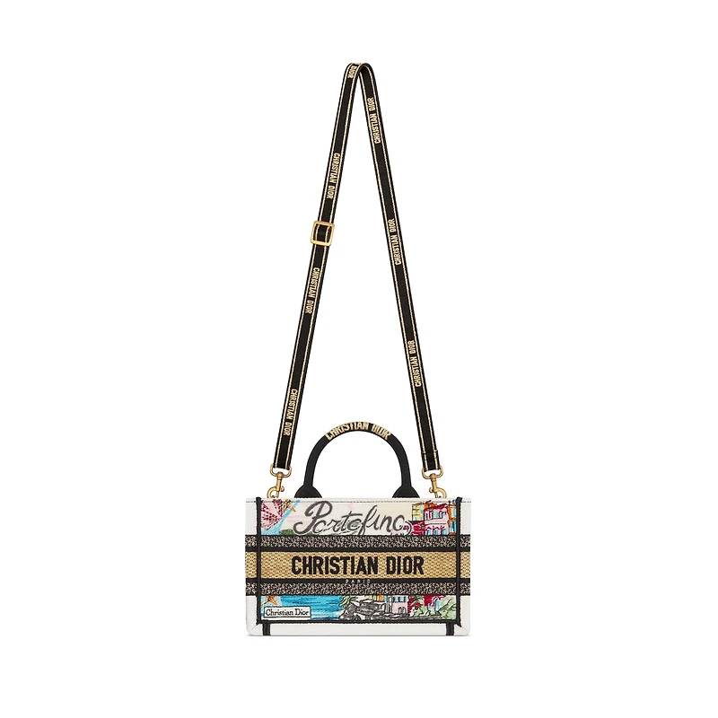 Dior Souvenir Mini Dior Book Tote