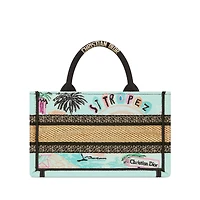 Dior Souvenir Mini Dior Book Tote