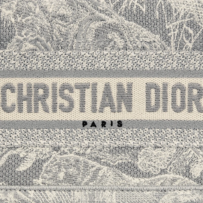 Mini Dior Book Tote