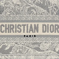 Mini Dior Book Tote