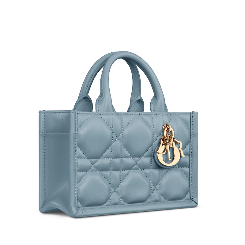 Mini Dior Book Tote