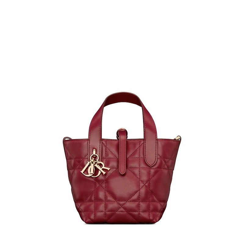 Dior Toujours Vertical Nano Tote Bag