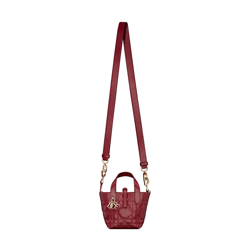 Dior Toujours Vertical Nano Tote Bag