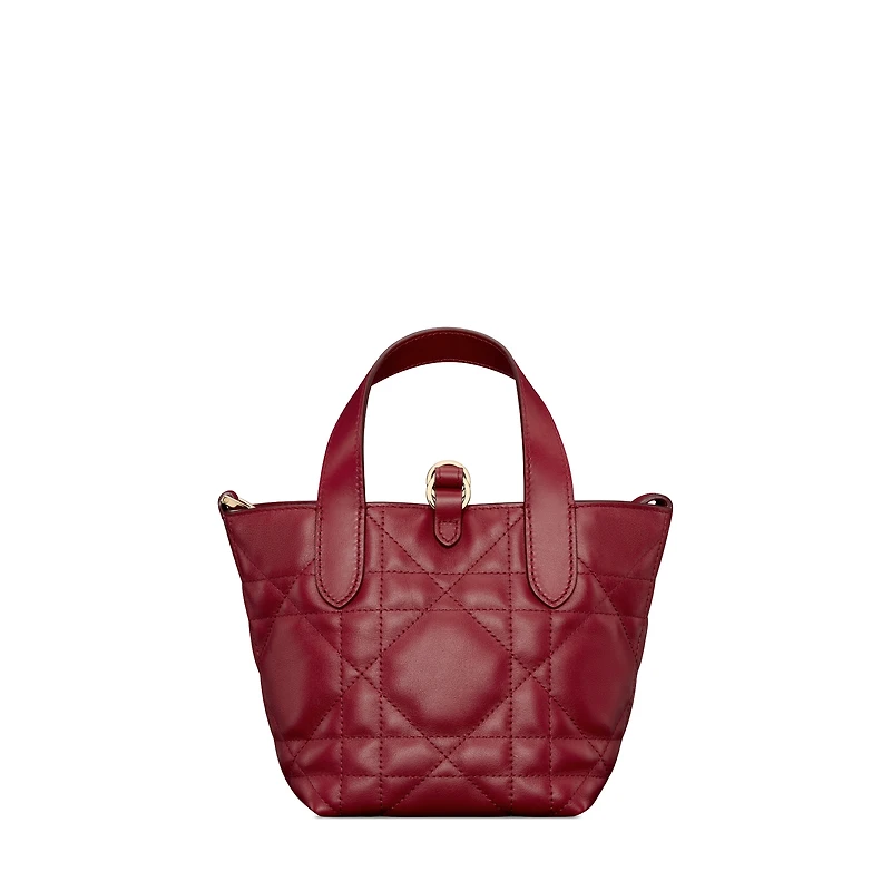 Dior Toujours Vertical Nano Tote Bag