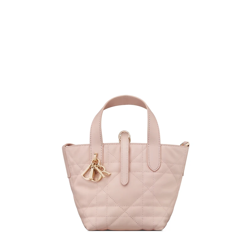 Dior Toujours Vertical Nano Tote Bag