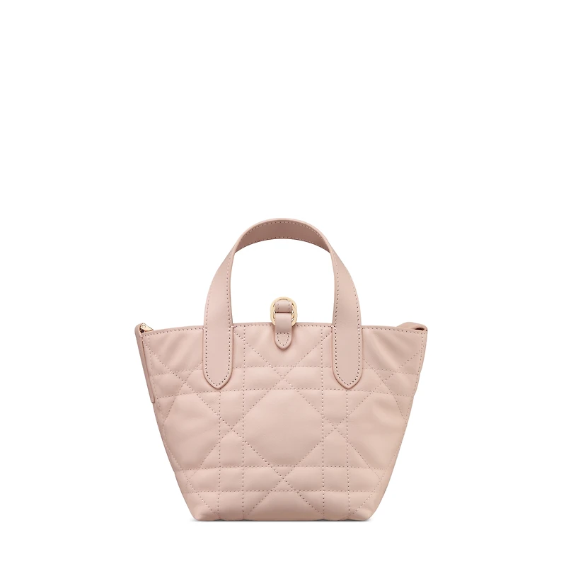 Dior Toujours Vertical Nano Tote Bag