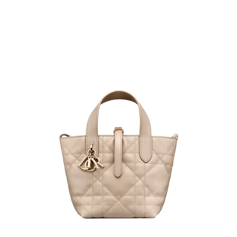 Dior Toujours Vertical Nano Tote Bag