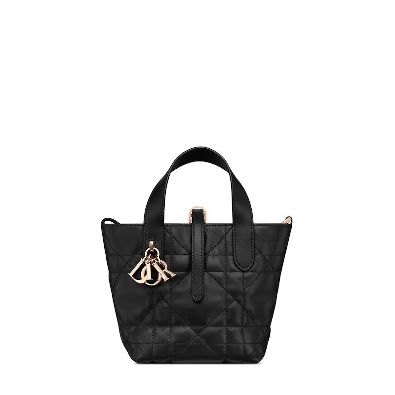 Dior Toujours Vertical Nano Tote Bag