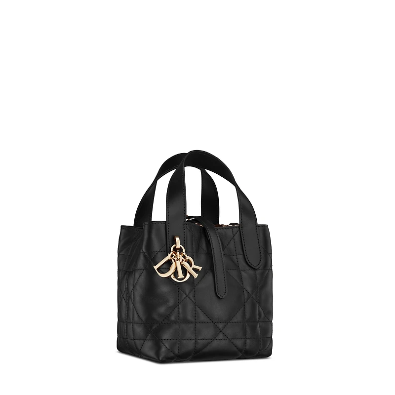 Dior Toujours Vertical Nano Tote Bag
