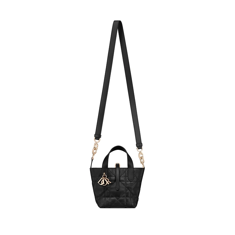 Dior Toujours Vertical Nano Tote Bag