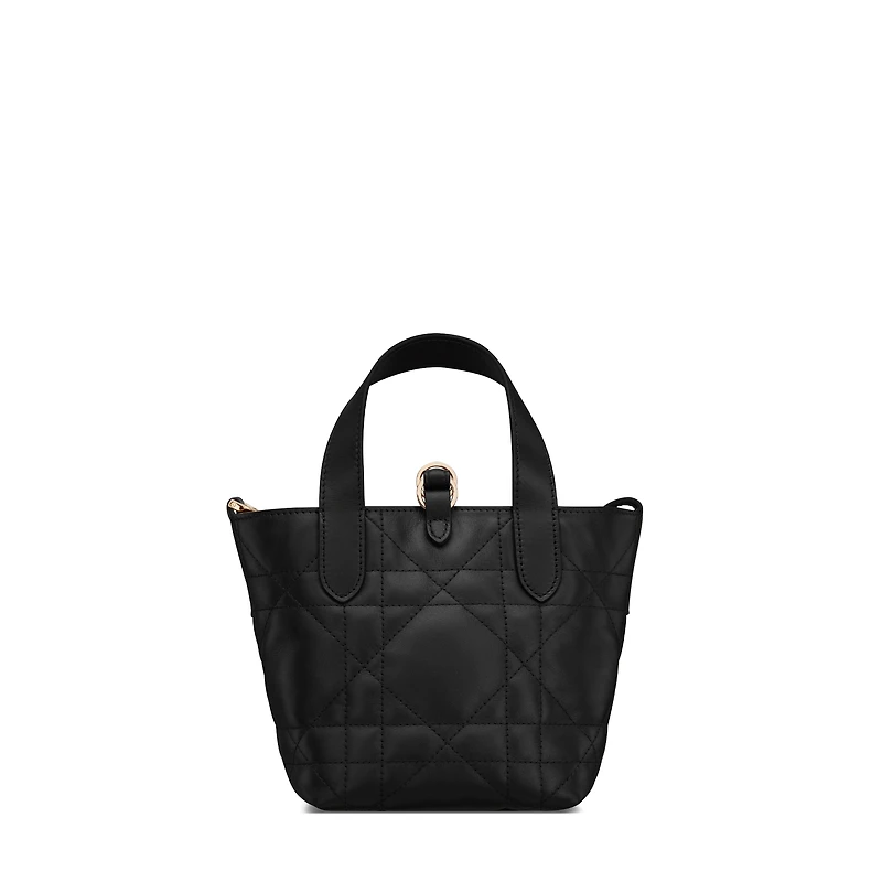 Dior Toujours Vertical Nano Tote Bag