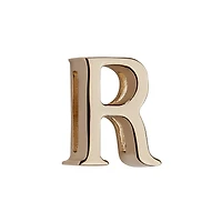 Small Lady Dior My ABCDior Bag