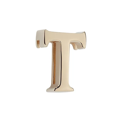 My ABCDior Letter T Badge
