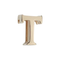 My ABCDior Letter T Badge