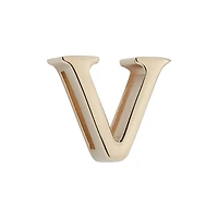 Small Lady Dior My ABCDior Bag